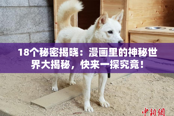 18个秘密揭晓：漫画里的神秘世界大揭秘，快来一探究竟！
