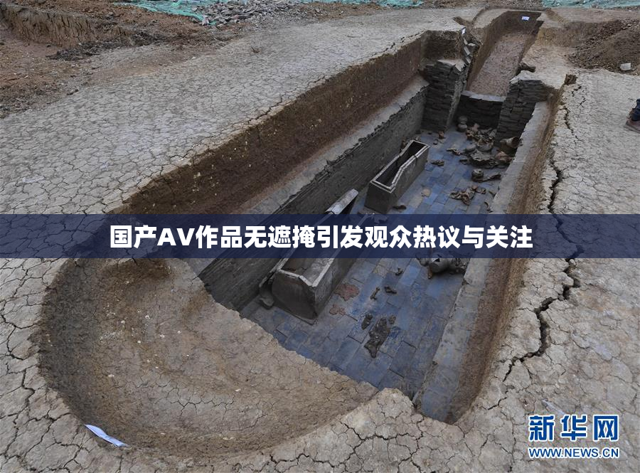 国产AV作品无遮掩引发观众热议与关注