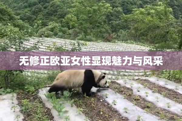 无修正欧亚女性显现魅力与风采