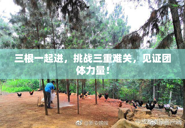 三根一起进，挑战三重难关，见证团体力量！