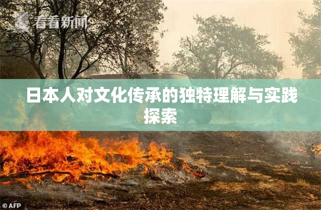 日本人对文化传承的独特理解与实践探索