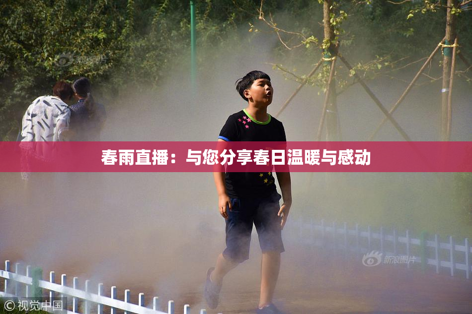 春雨直播：与您分享春日温暖与感动
