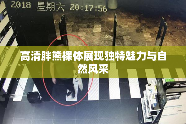 高清胖熊裸体展现独特魅力与自然风采