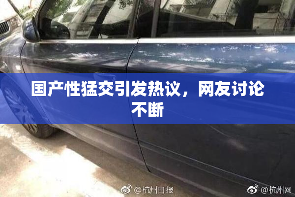 国产性猛交引发热议，网友讨论不断