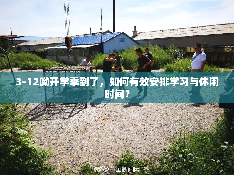 3–12呦开学季到了，如何有效安排学习与休闲时间？