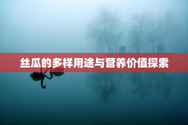 丝瓜的多样用途与营养价值探索
