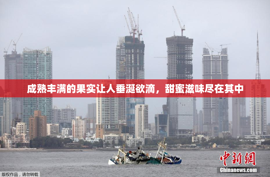 成熟丰满的果实让人垂涎欲滴，甜蜜滋味尽在其中