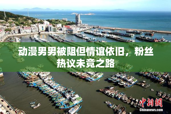 动漫男男被阻但情谊依旧，粉丝热议未竟之路