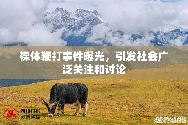 裸体鞭打事件曝光，引发社会广泛关注和讨论