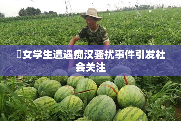 巜女学生遭遇痴汉骚扰事件引发社会关注