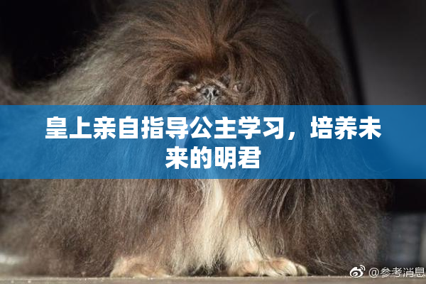 皇上亲自指导公主学习，培养未来的明君