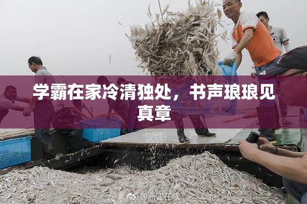 学霸在家冷清独处，书声琅琅见真章