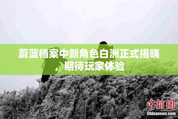 蔚蓝档案中新角色白洲正式揭晓，期待玩家体验