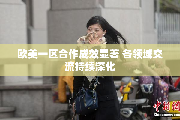 欧美一区合作成效显著 各领域交流持续深化
