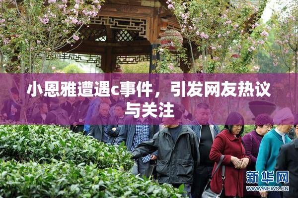 小恩雅遭遇c事件，引发网友热议与关注