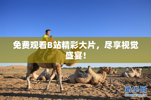 免费观看B站精彩大片，尽享视觉盛宴！