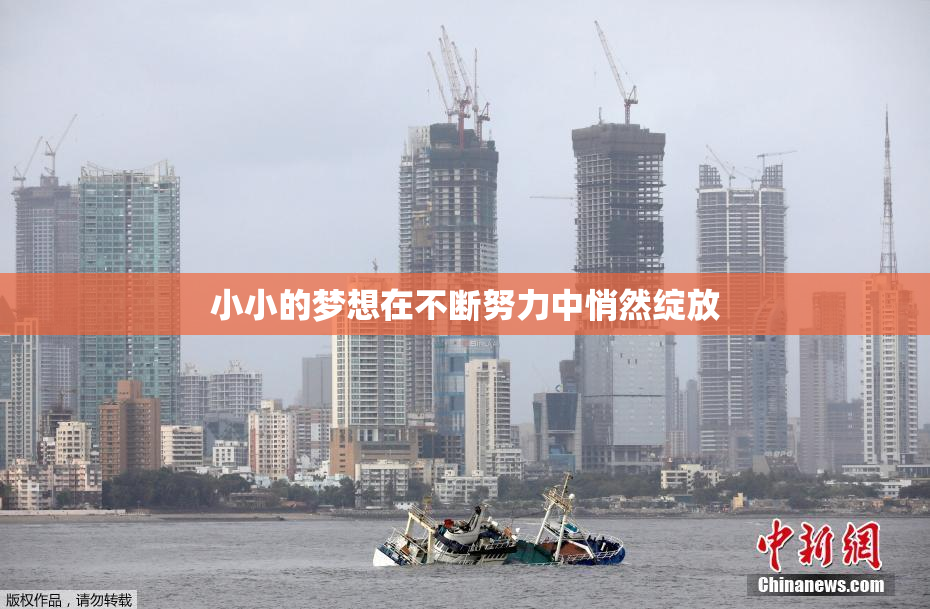 小小的梦想在不断努力中悄然绽放