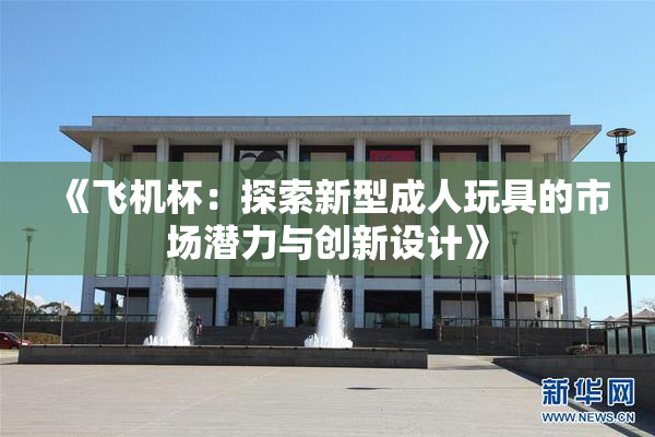 《飞机杯：探索新型成人玩具的市场潜力与创新设计》
