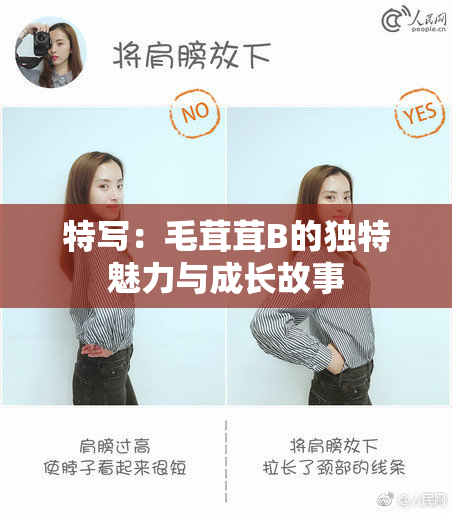 特写：毛茸茸B的独特魅力与成长故事