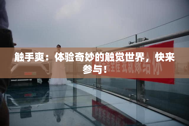 触手爽：体验奇妙的触觉世界，快来参与！
