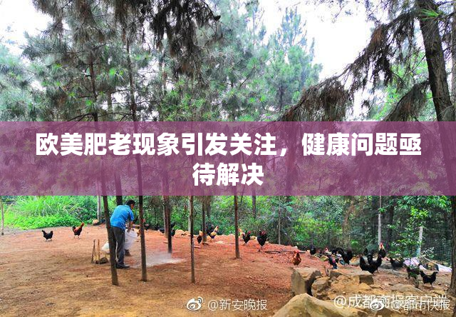 欧美肥老现象引发关注，健康问题亟待解决