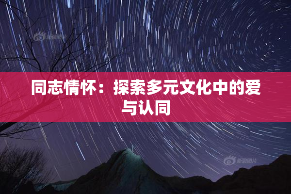 同志情怀：探索多元文化中的爱与认同