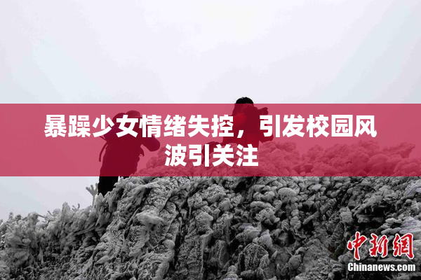 暴躁少女情绪失控，引发校园风波引关注