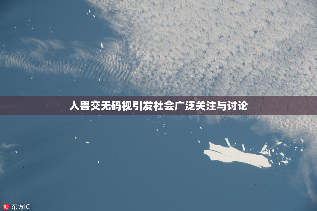 人兽交无码视引发社会广泛关注与讨论