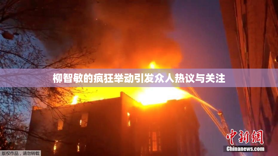 柳智敏的疯狂举动引发众人热议与关注