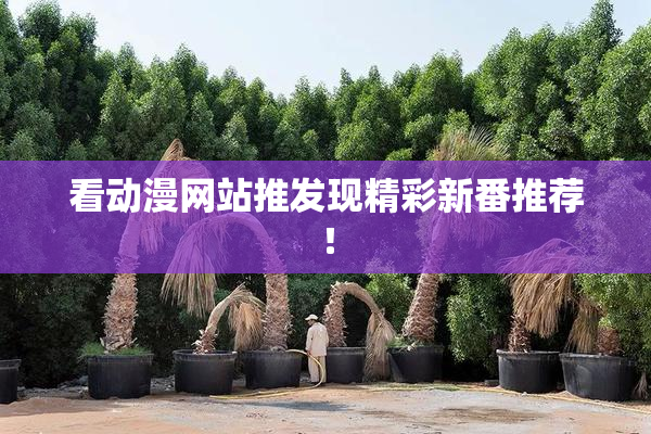 看动漫网站推发现精彩新番推荐！