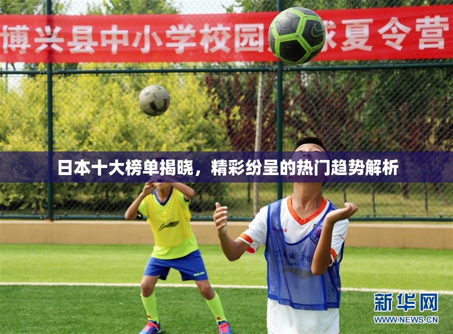 日本十大榜单揭晓，精彩纷呈的热门趋势解析