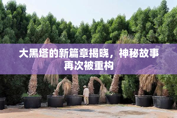 大黑塔的新篇章揭晓，神秘故事再次被重构