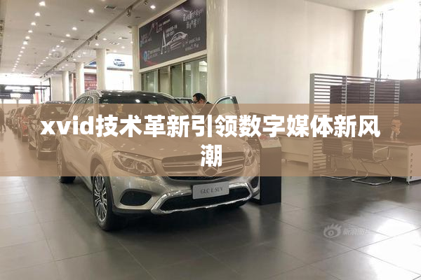 xvid技术革新引领数字媒体新风潮