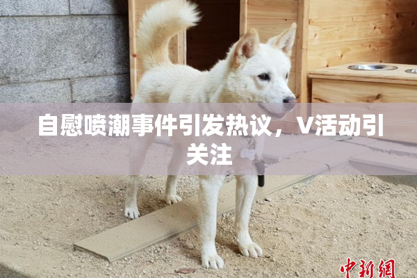 自慰喷潮事件引发热议，V活动引关注