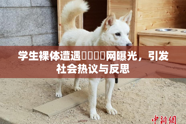 学生裸体遭遇❌‌❌‌网曝光，引发社会热议与反思