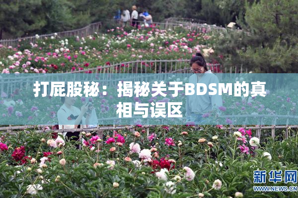 打屁股秘：揭秘关于BDSM的真相与误区