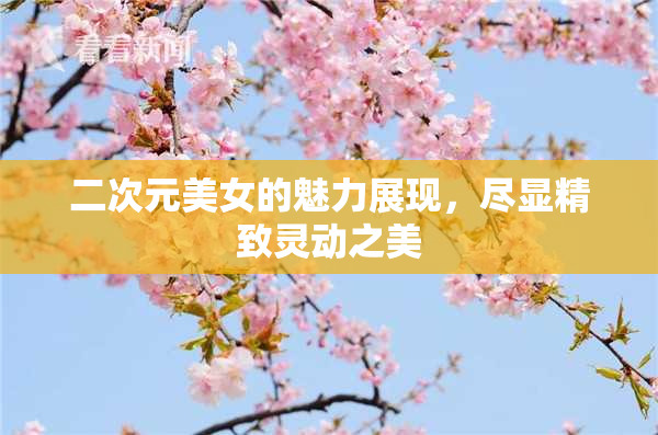 二次元美女的魅力展现，尽显精致灵动之美