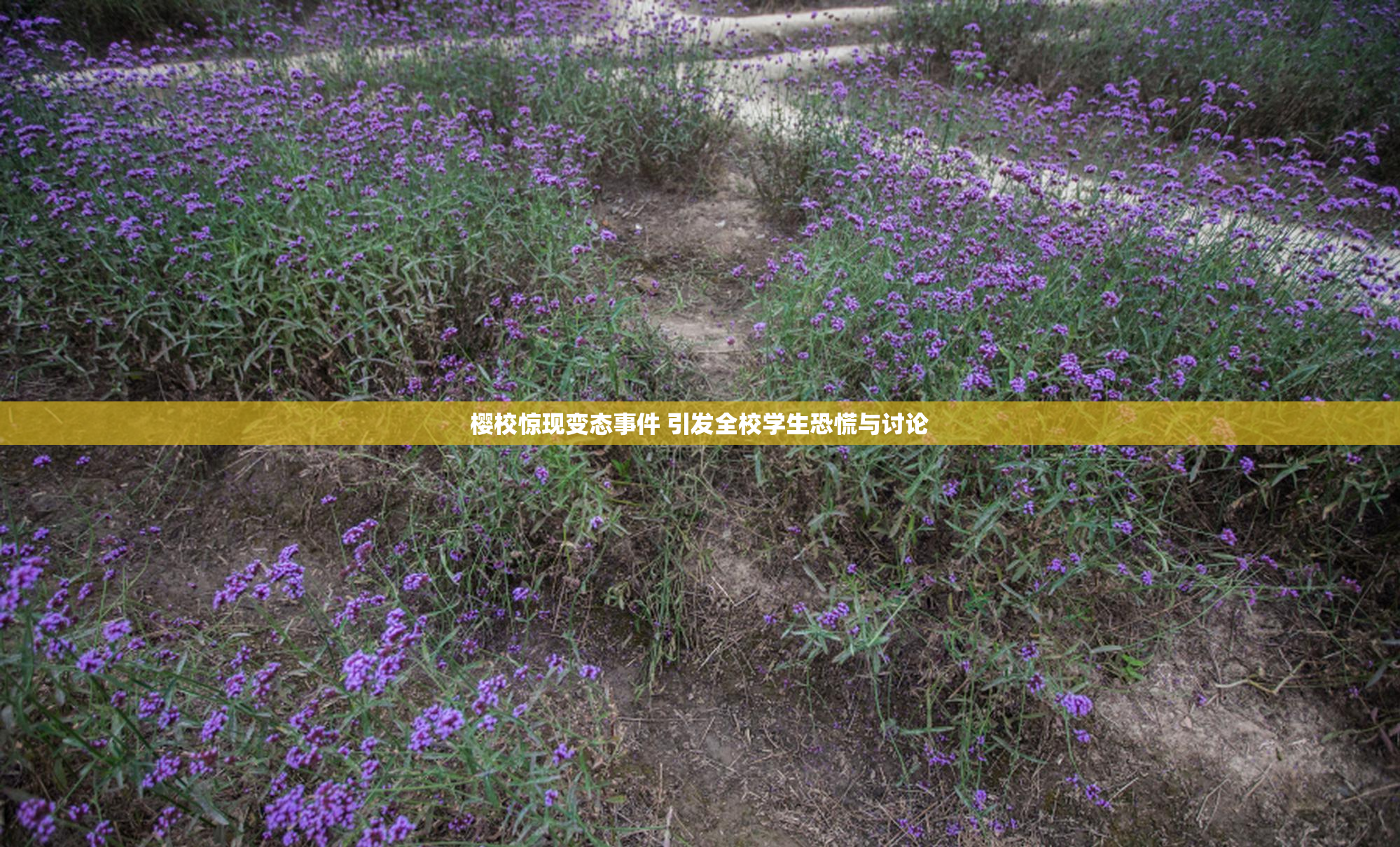 樱校惊现变态事件 引发全校学生恐慌与讨论