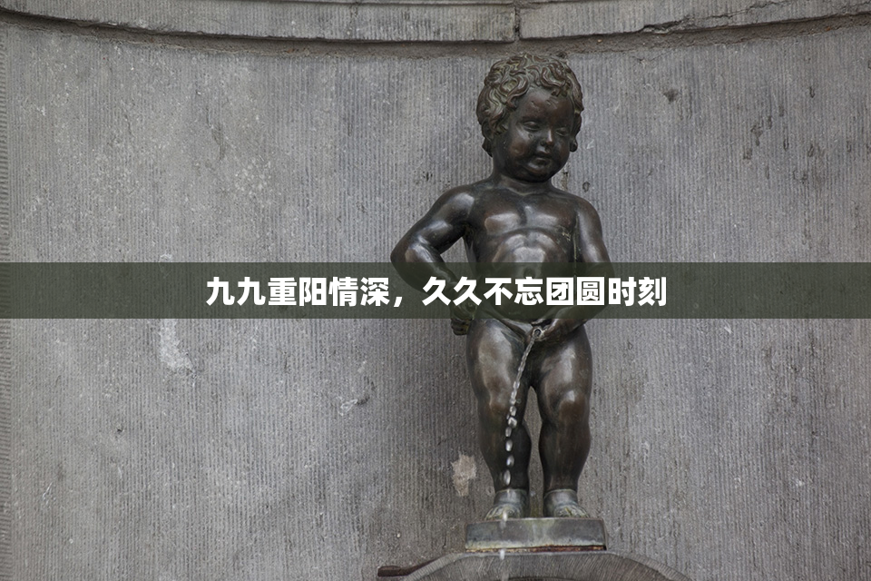九九重阳情深，久久不忘团圆时刻