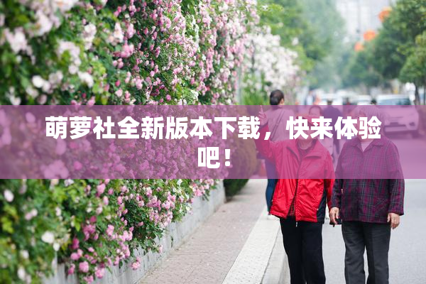 萌萝社全新版本下载，快来体验吧！