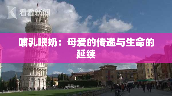 哺乳喂奶：母爱的传递与生命的延续