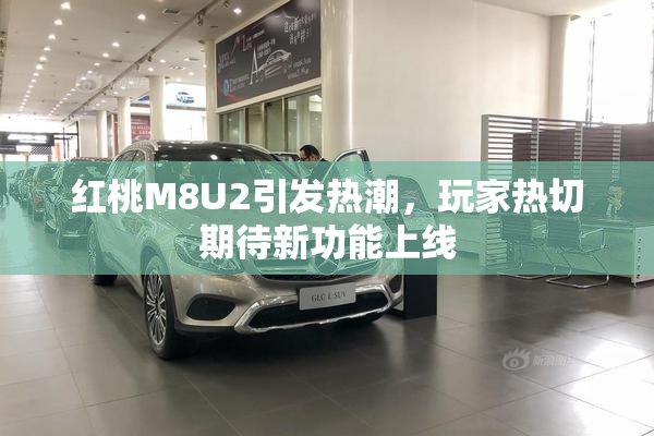 红桃M8U2引发热潮，玩家热切期待新功能上线