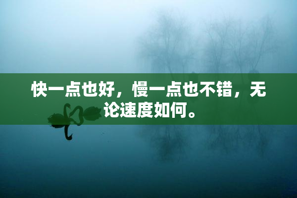 快一点也好，慢一点也不错，无论速度如何。