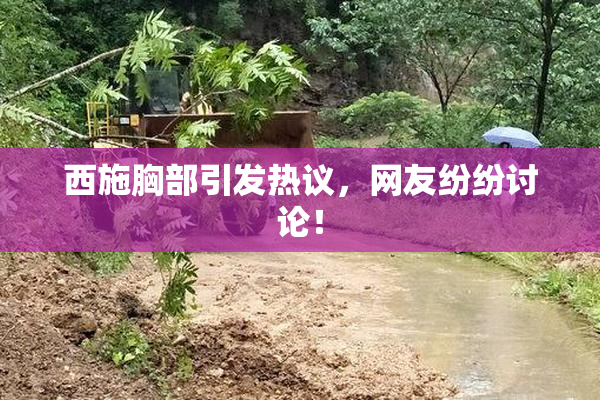 西施胸部引发热议，网友纷纷讨论！