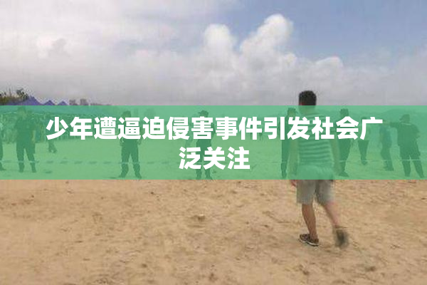 少年遭逼迫侵害事件引发社会广泛关注