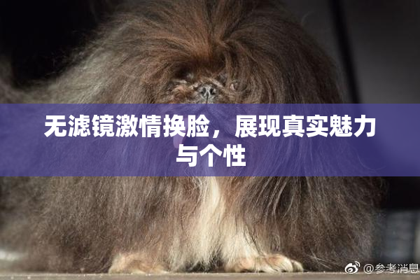 无滤镜激情换脸，展现真实魅力与个性