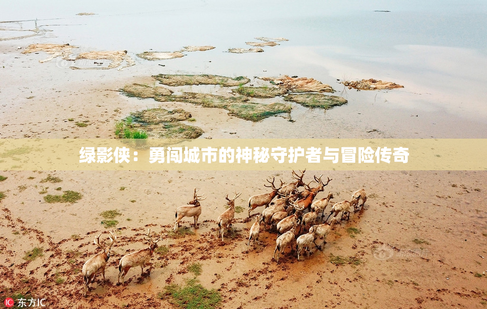 绿影侠：勇闯城市的神秘守护者与冒险传奇