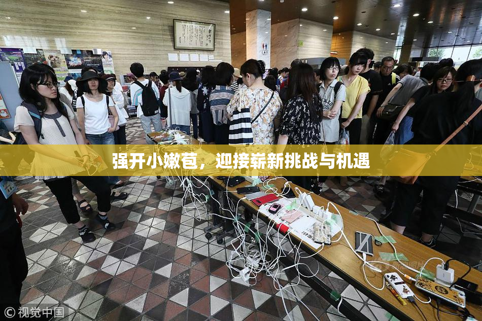 强开小嫩苞，迎接崭新挑战与机遇