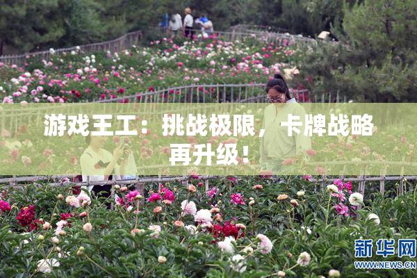 游戏王工：挑战极限，卡牌战略再升级！