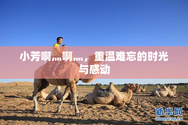 小芳啊灬啊灬，重温难忘的时光与感动